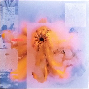 Placid Angles – The Lotus
