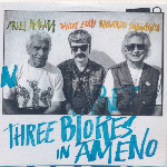 Ariel Kalma, Davide Zolli, Riccardo Sinigaglia – Three Blokes In Ameno