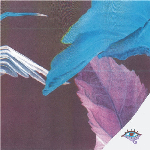 Troth – Forget The Curse