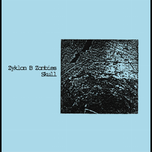Zyklon B. Zombies – Skull