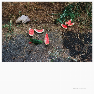 Andrea Borghi – Palsecam