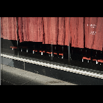 David Nissen – Shadow's Praise