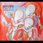 Brume – A Treatise Of Ethnography