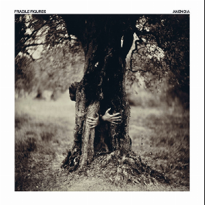 Fragile Figures – Anemoia