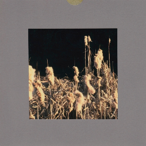 Don Nino – Typha Latifolia / I Like This And I Like That