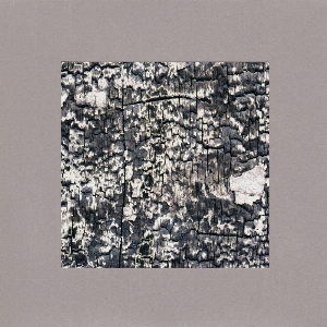 S​.​aspegren & J​.​lorichon – Path Through Infinite Body