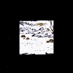 F​/​Lor – Cinq Miniatures Dans Un Espace Immense Et Leurs Formes Inverses