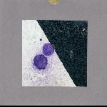 Jason Glasser & J​é​r​ô​me Lorichon – The War / Rose Rock