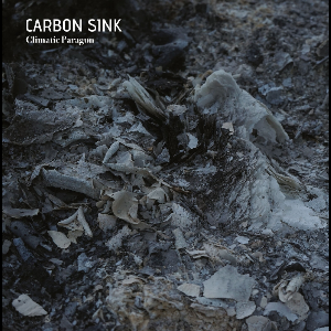 Carbon Sink – Climatic Paragon