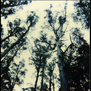 The Frightening Lights – Untitled