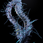 Ohr Hiemis (Augustin Braud) – Opal Spine