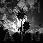 Echoplain – In Bones