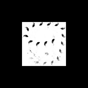 Monolithe Noir – Moira