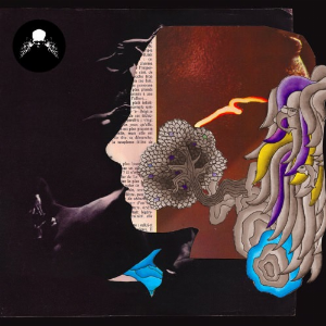 Various Artists – Dirty French Psychedelics