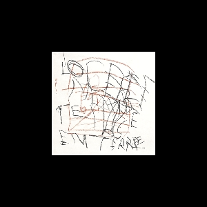 L'ocelle Mare – Temps En Terre