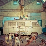 Usé – Chien D'la Casse