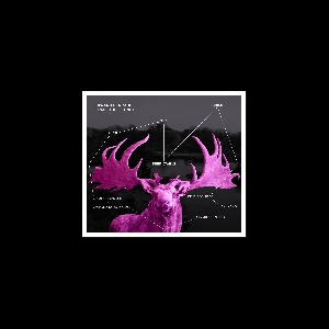 Edward Perraud – Synaesthetic Trip 02