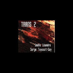 Joëlle Léandre - Serge Teyssot-Gay – Trans 2