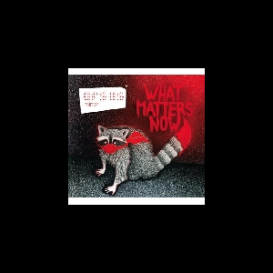 Ursus Minor – What Matters Now