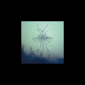 Winter Family – South From Here