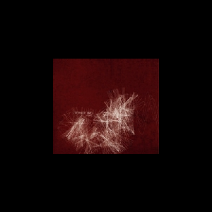 Stéphane Rives – Fibres