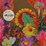 Philippe Cohen-Solal (Gotan Project) – Paradis Artificiel(S)