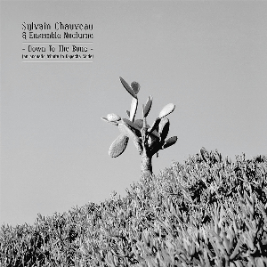Sylvain Chauveau & Ensemble Nocturne – Down To The Bone