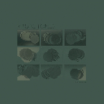 Alan Regardin – Ritual Tones