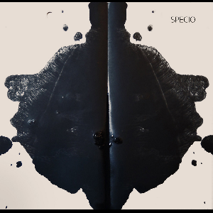 Specio – Specio
