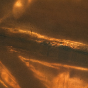 Maât – Lustra