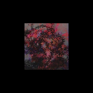 Ricardo Tobar – If I Love You