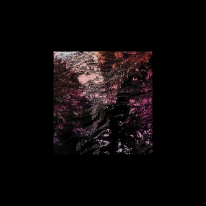 Ricardo Tobar – Treillis