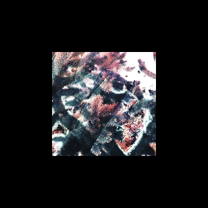 Ricardo Tobar – Garden/Hundreds Remix