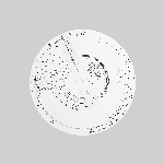 Chevreuil – Stadium