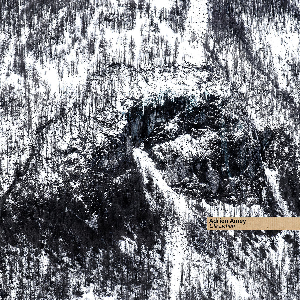 Adrien Amey – Lila Lichen