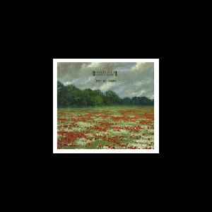 Collection D'arnell-Andrea – Cirses Des Champs