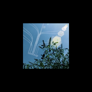 Bidibop – Merry Go Round