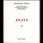 Nicole Mitchell Indigo Trio – Anaya