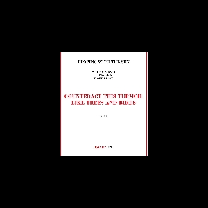 Eloping With The Sun (William Parker - Joe Morris - Hamid Drake) – Counteract This Turmoil Like Trees And Birds