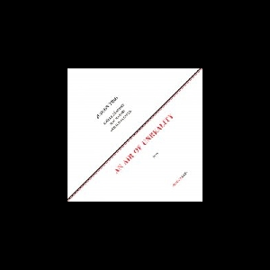 Judson Trio - (Joëlle Léandre - Mat Maneri - Gerald Cleaver) – An Air Of Unreality