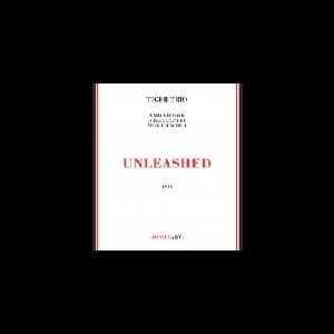 Tiger Trio (Myra Melford - Joëlle Léandre - Nicole Mitchell) – Unleashed