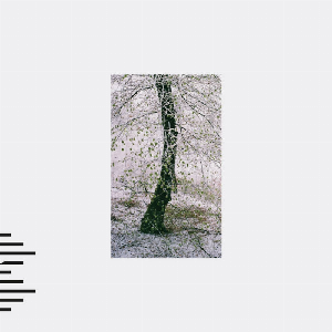 Observatories (Ian Hawgood & Craig Tattersall) – Our Recently Acquired Knowledge