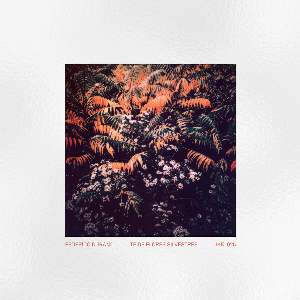 Federico Durand – Té De Flores Silvestres