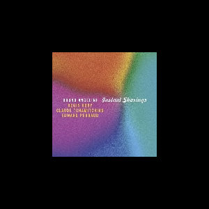 Bruno Angelini (Huby - Tchamitchian - Perraud) – Instant Sharings