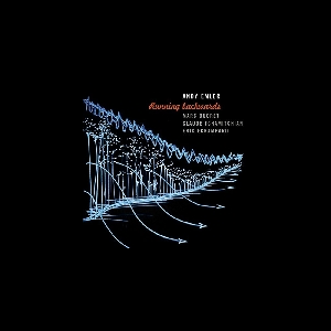 Andy Emler (Ducret - Tchamitchian - Echampard) – Running Backwards