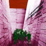 blonde redhead - in an expression of the inexpressible blonde redhead - in an expression of the inexpressible