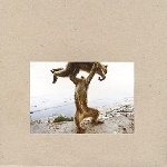 shellac - dude incredible shellac - dude incredible