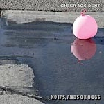 cheer accident - no ifs, ands or dogs cheer accident - no ifs, ands or dogs