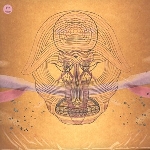 devendra banhart - what will we be devendra banhart - what will we be