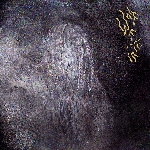 wolf eyes - human animal wolf eyes - human animal